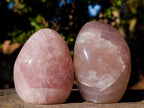 Polished Gemmy Rose Quartz Standing Display Pieces x 6 From Madagascar - Toprock Gemstones and Minerals 