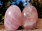 Polished Gemmy Rose Quartz Standing Display Pieces x 6 From Madagascar - Toprock Gemstones and Minerals 