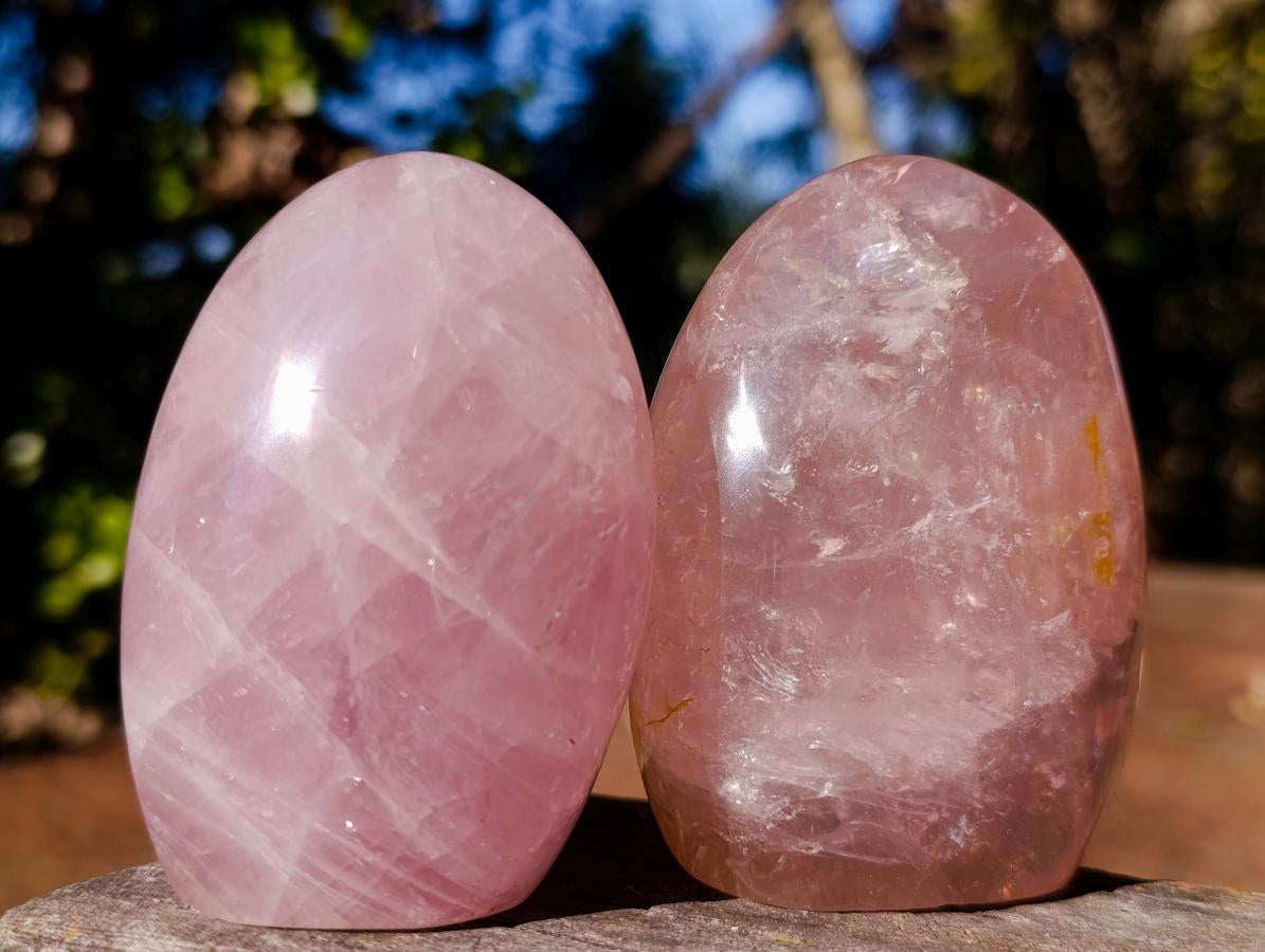 Polished Gemmy Rose Quartz Standing Display Pieces x 6 From Madagascar - Toprock Gemstones and Minerals 
