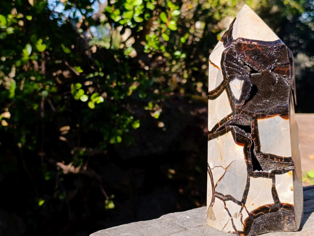 Polished and Natural Large Septerye Sauvage Display Crystal x 1 From Mahajanga, Madagascar - Toprock Gemstones and Minerals 