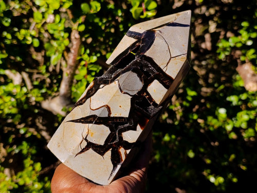 Polished and Natural Large Septerye Sauvage Display Crystal x 1 From Mahajanga, Madagascar - Toprock Gemstones and Minerals 