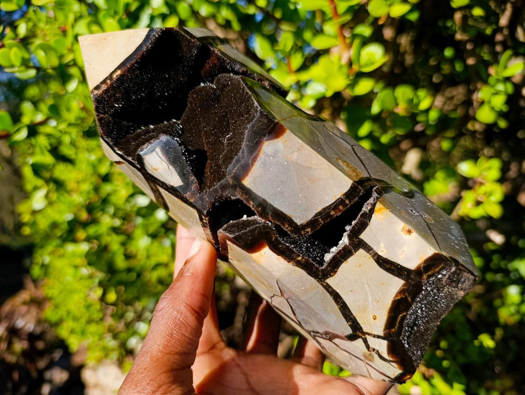 Polished and Natural Large Septerye Sauvage Display Crystal x 1 From Mahajanga, Madagascar - Toprock Gemstones and Minerals 