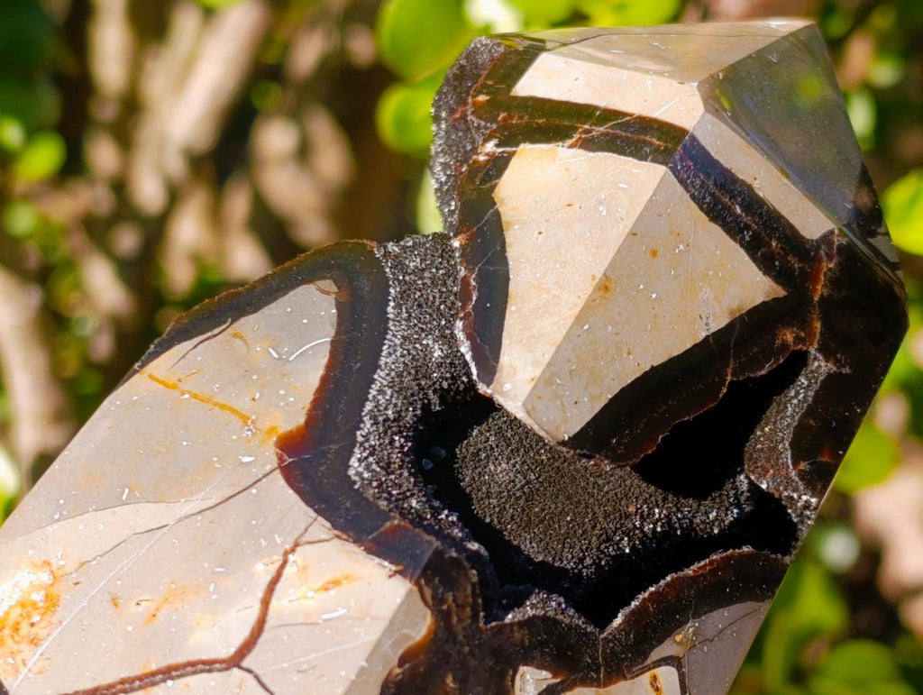 Polished and Natural Large Septerye Sauvage Display Crystal x 1 From Mahajanga, Madagascar - Toprock Gemstones and Minerals 