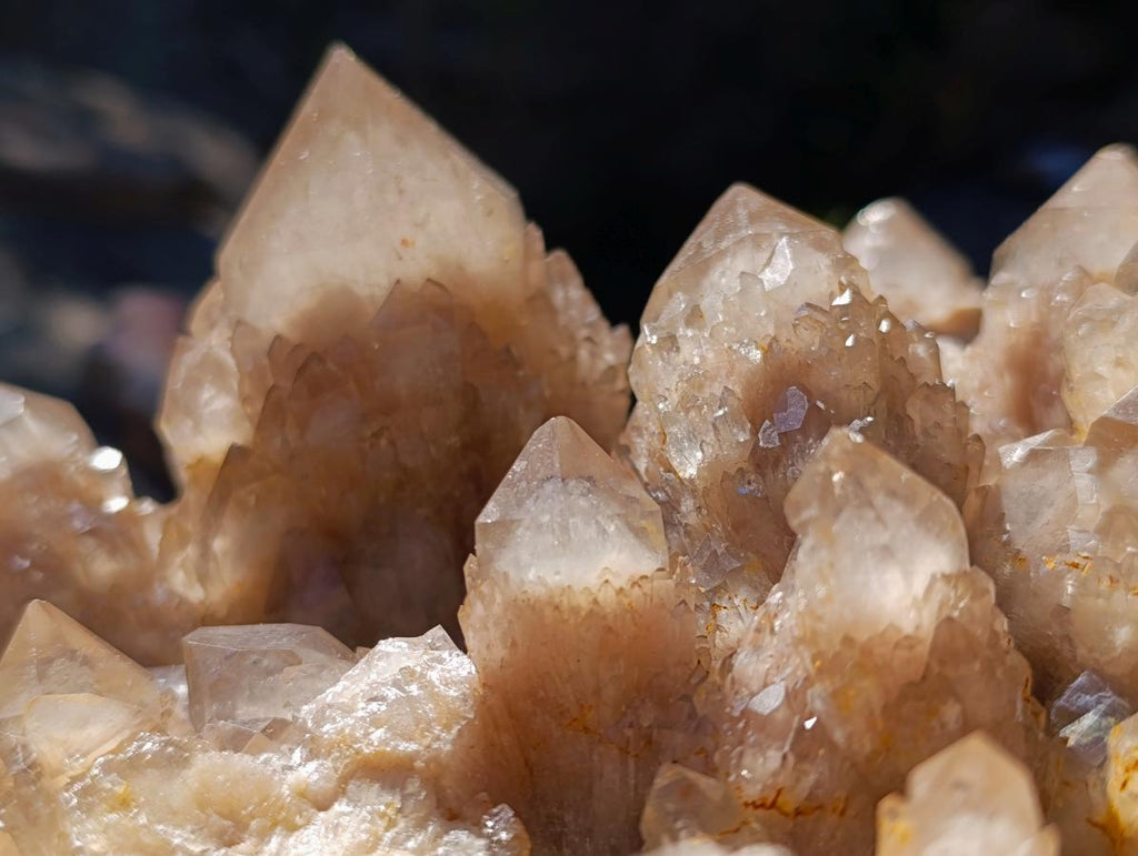 Natural XL Cascading White Phantom Smokey Luena Quartz Cluster x 1 From Luena, Congo - Toprock Gemstones and Minerals 