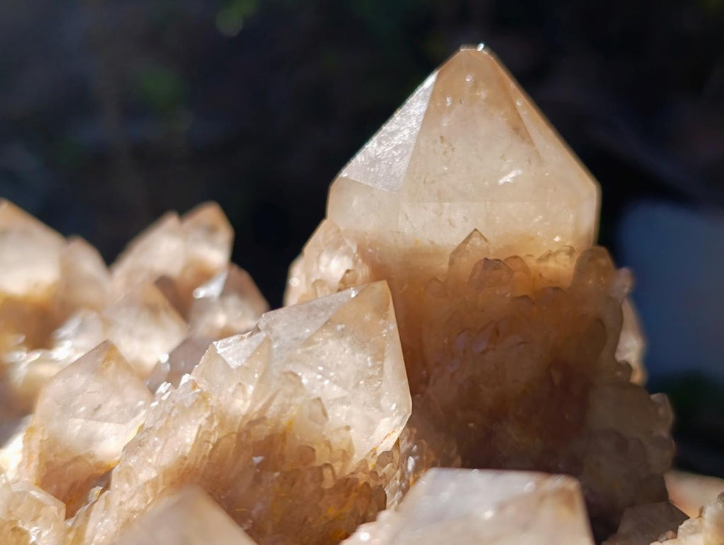Natural XL Cascading White Phantom Smokey Luena Quartz Cluster x 1 From Luena, Congo - Toprock Gemstones and Minerals 
