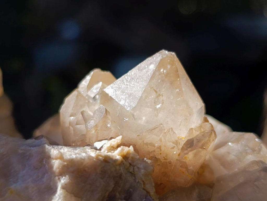 Natural XL Cascading White Phantom Smokey Luena Quartz Cluster x 1 From Luena, Congo - Toprock Gemstones and Minerals 
