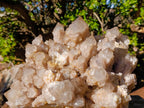 Natural XL Cascading White Phantom Smokey Luena Quartz Cluster x 1 From Luena, Congo - Toprock Gemstones and Minerals 