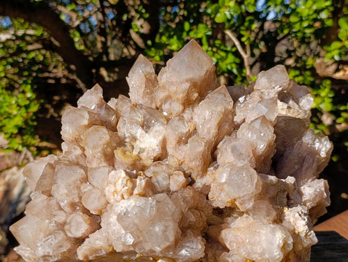 Natural XL Cascading White Phantom Smokey Luena Quartz Cluster x 1 From Luena, Congo - Toprock Gemstones and Minerals 