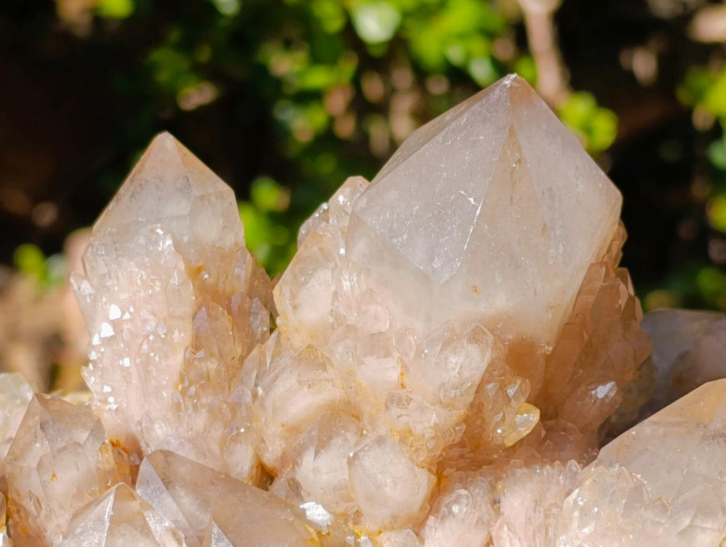 Natural XL Cascading White Phantom Smokey Luena Quartz Cluster x 1 From Luena, Congo - Toprock Gemstones and Minerals 
