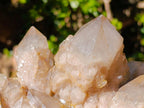 Natural XL Cascading White Phantom Smokey Luena Quartz Cluster x 1 From Luena, Congo - Toprock Gemstones and Minerals 