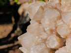 Natural XL Cascading White Phantom Smokey Luena Quartz Cluster x 1 From Luena, Congo - Toprock Gemstones and Minerals 