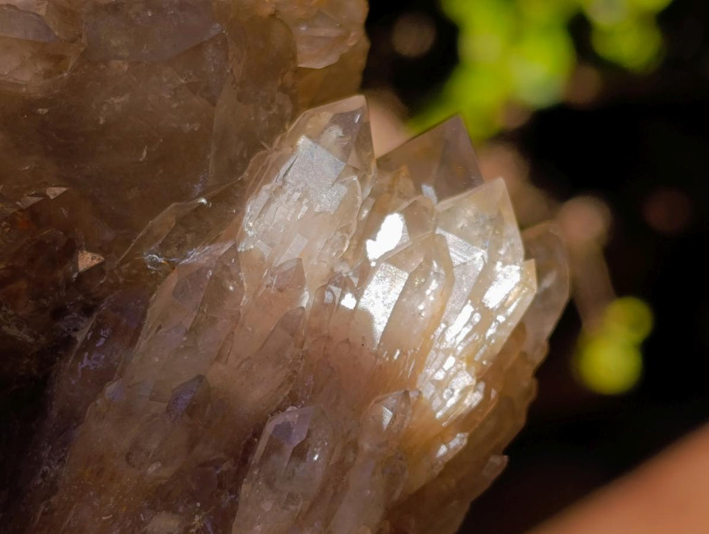 Natural XL Cascading White Phantom Smokey Luena Quartz Cluster x 1 From Luena, Congo - Toprock Gemstones and Minerals 