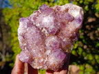 Natural Large Spirit Ametrine Clusters x 6 From Boekenhouthoek, South Africa - Toprock Gemstones and Minerals 