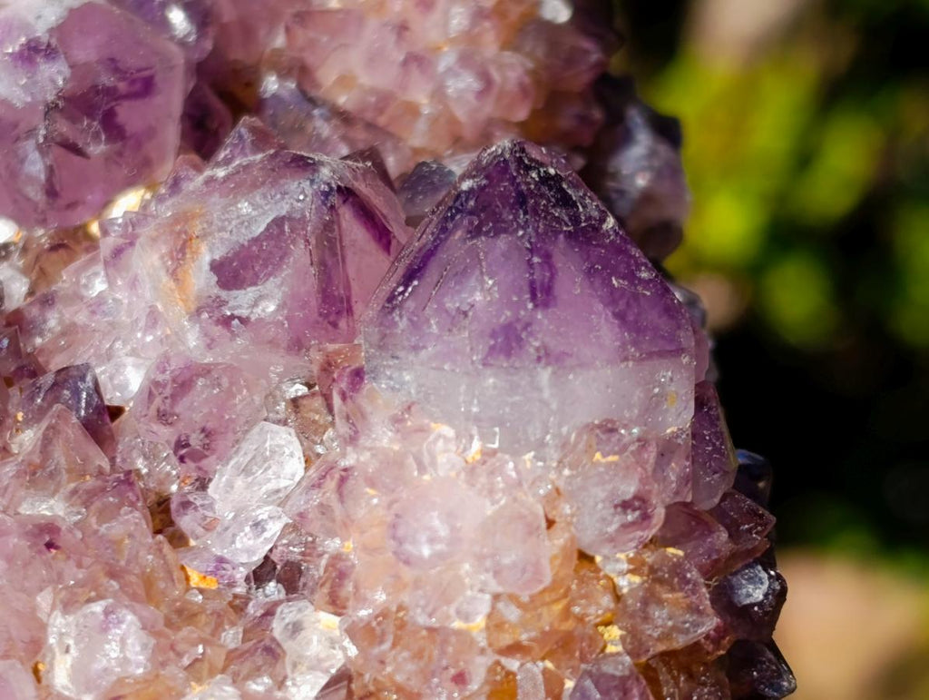 Natural Large Spirit Ametrine Clusters x 6 From Boekenhouthoek, South Africa - Toprock Gemstones and Minerals 