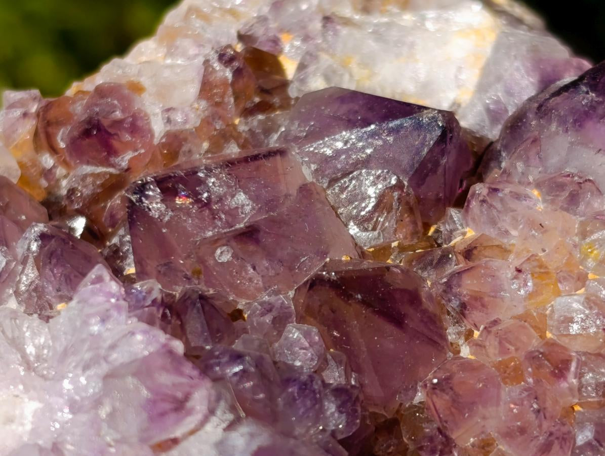 Natural Large Spirit Ametrine Clusters x 6 From Boekenhouthoek, South Africa - Toprock Gemstones and Minerals 