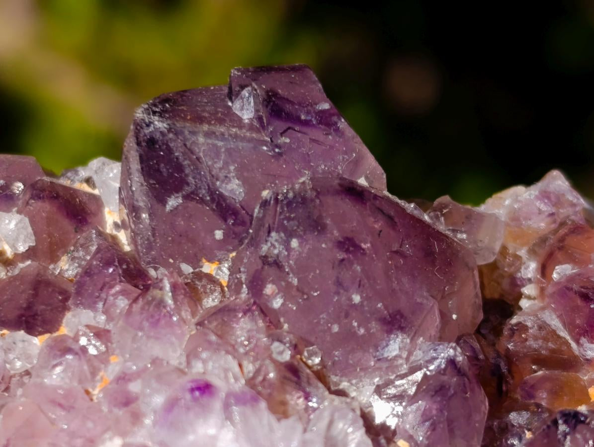 Natural Large Spirit Ametrine Clusters x 6 From Boekenhouthoek, South Africa - Toprock Gemstones and Minerals 
