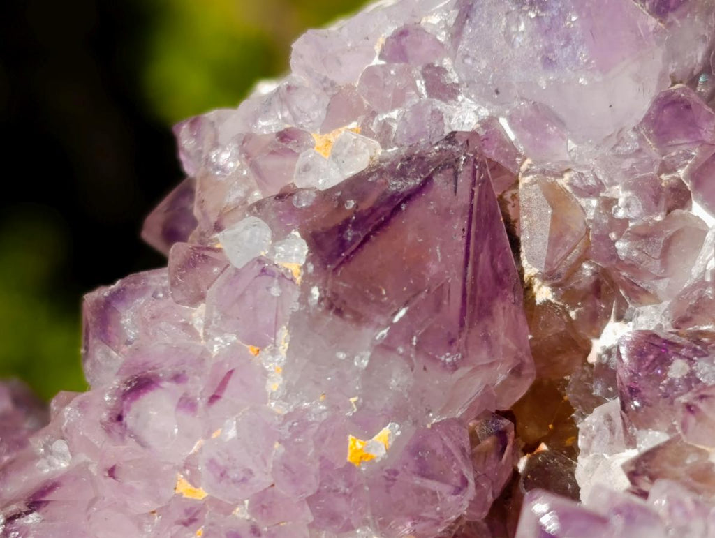 Natural Large Spirit Ametrine Clusters x 6 From Boekenhouthoek, South Africa - Toprock Gemstones and Minerals 