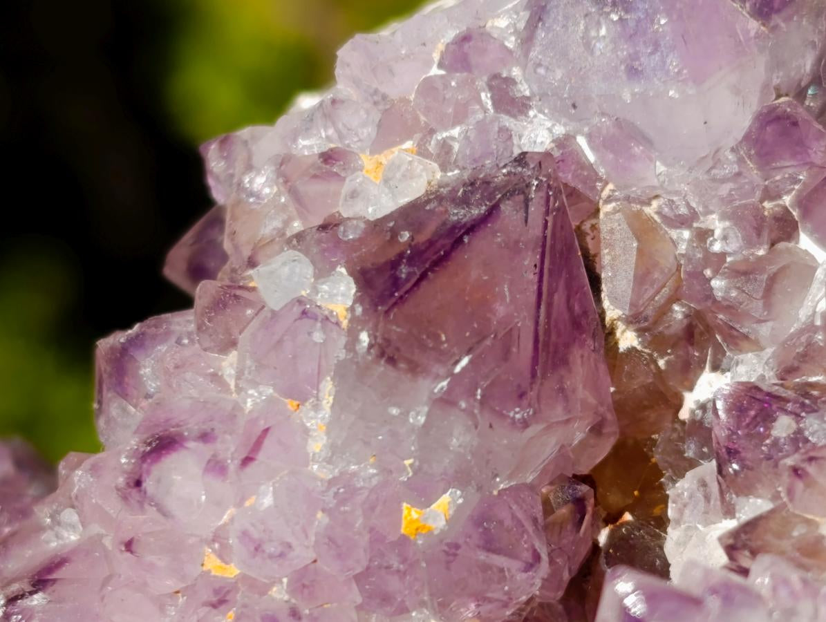 Natural Large Spirit Ametrine Clusters x 6 From Boekenhouthoek, South Africa - Toprock Gemstones and Minerals 