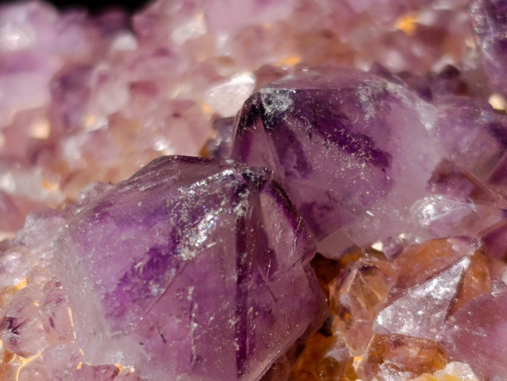 Natural Large Spirit Ametrine Clusters x 6 From Boekenhouthoek, South Africa - Toprock Gemstones and Minerals 