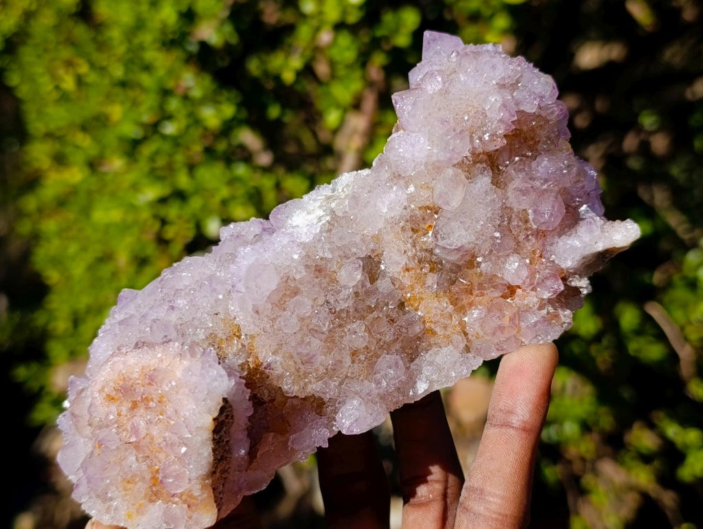 Natural Large Spirit Ametrine Clusters x 6 From Boekenhouthoek, South Africa - Toprock Gemstones and Minerals 