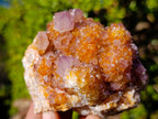 Natural Large Spirit Ametrine Clusters x 6 From Boekenhouthoek, South Africa - Toprock Gemstones and Minerals 