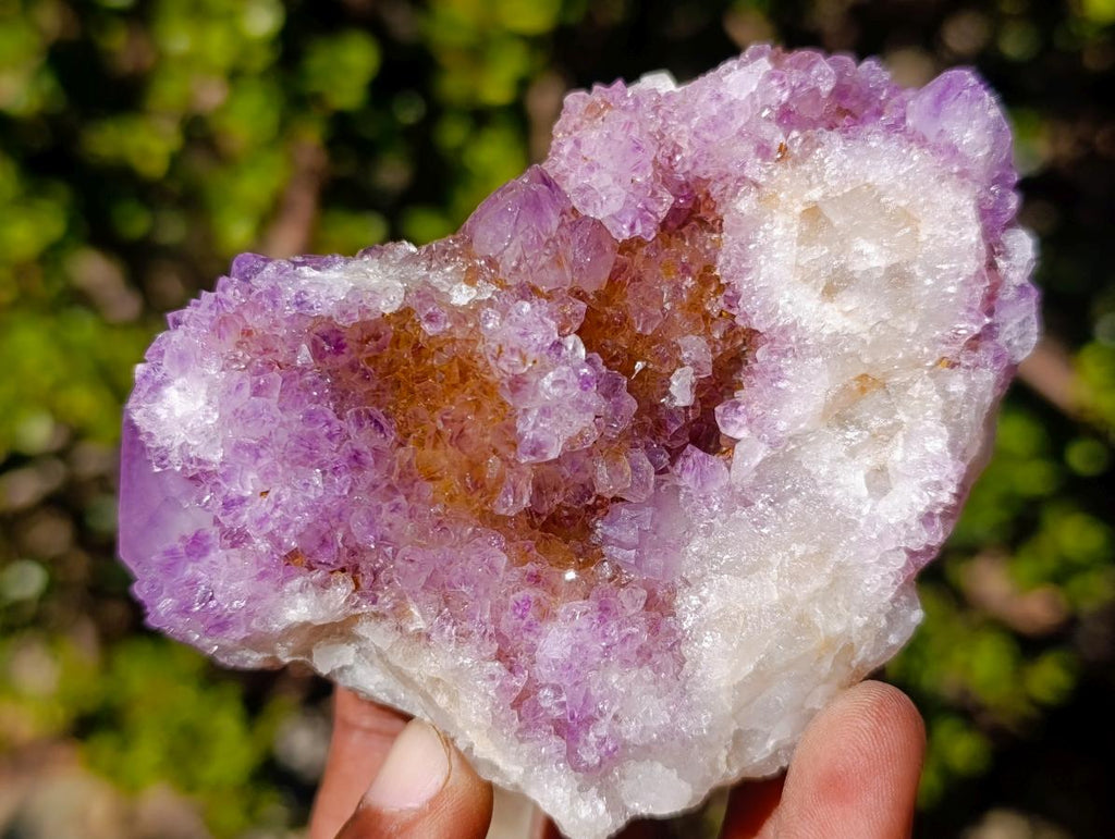 Natural Large Spirit Ametrine Clusters x 6 From Boekenhouthoek, South Africa - Toprock Gemstones and Minerals 