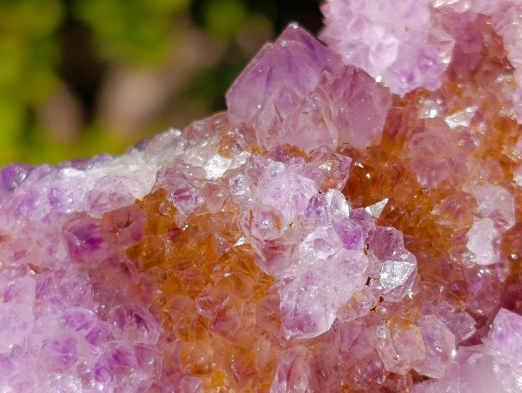 Natural Large Spirit Ametrine Clusters x 6 From Boekenhouthoek, South Africa - Toprock Gemstones and Minerals 