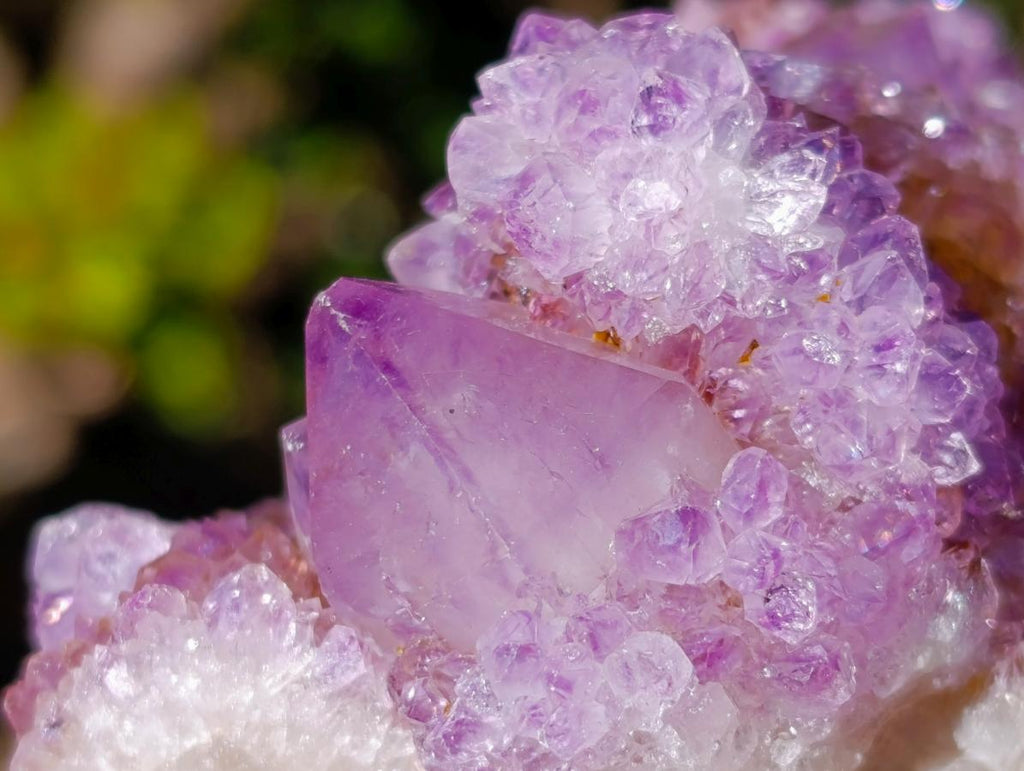 Natural Large Spirit Ametrine Clusters x 6 From Boekenhouthoek, South Africa - Toprock Gemstones and Minerals 