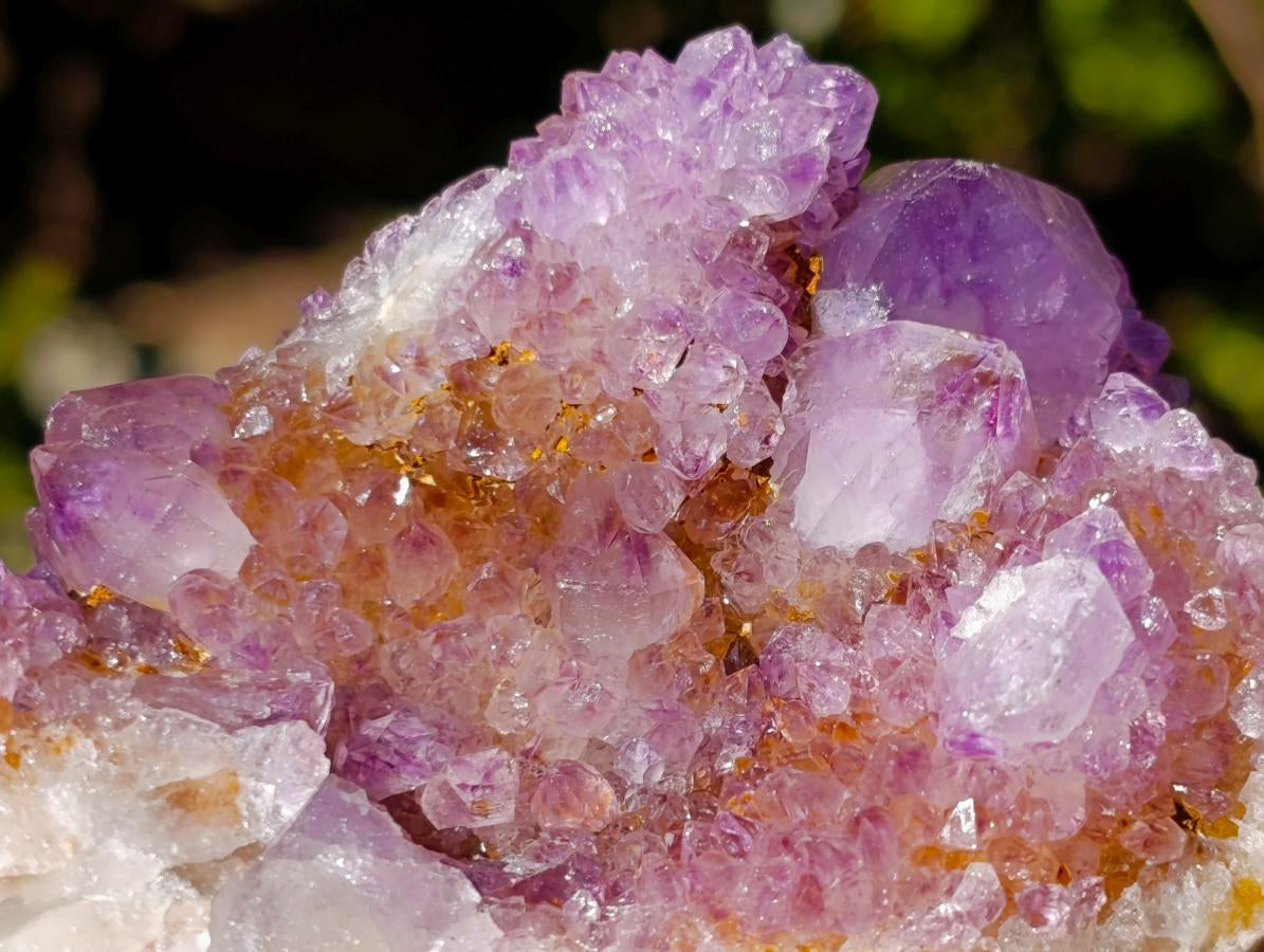 Natural Large Spirit Ametrine Clusters x 6 From Boekenhouthoek, South Africa - Toprock Gemstones and Minerals 