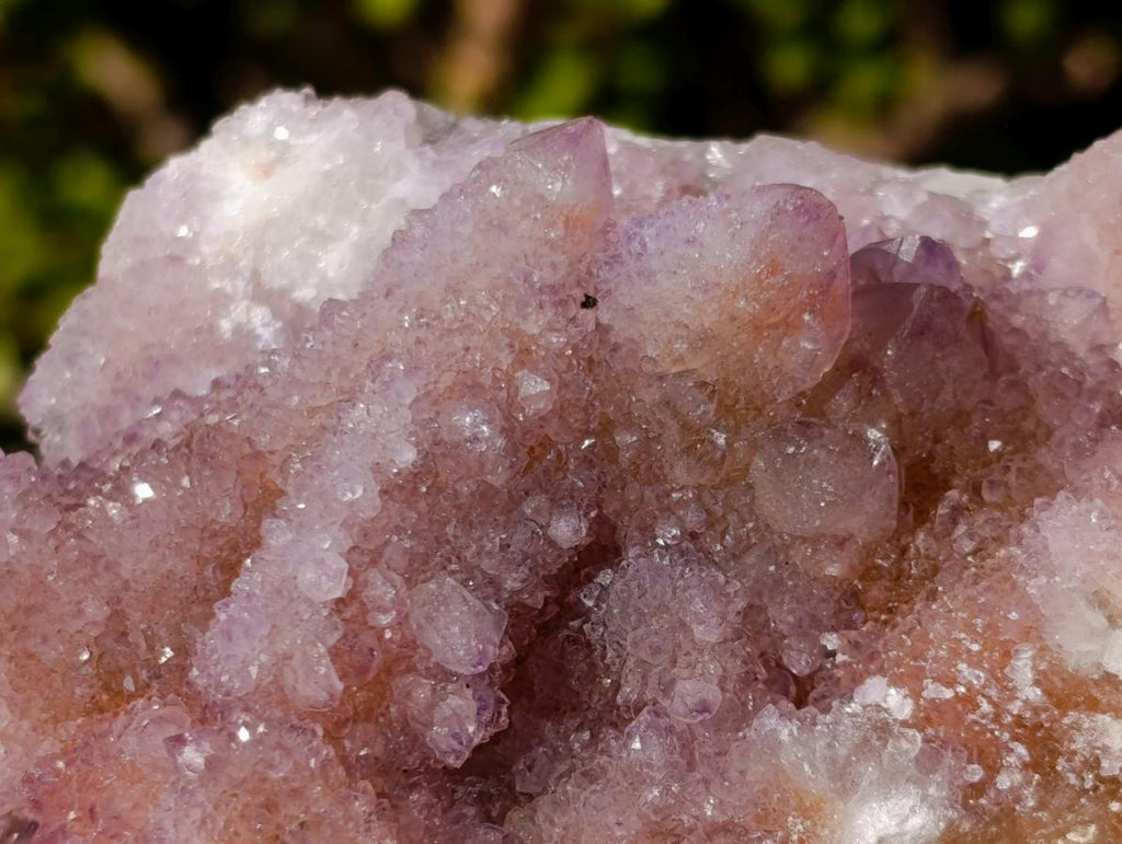 Natural Large Spirit Ametrine Clusters x 6 From Boekenhouthoek, South Africa - Toprock Gemstones and Minerals 