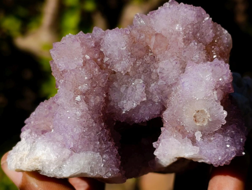 Natural Large Spirit Ametrine Clusters x 6 From Boekenhouthoek, South Africa - Toprock Gemstones and Minerals 