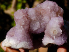 Natural Large Spirit Ametrine Clusters x 6 From Boekenhouthoek, South Africa - Toprock Gemstones and Minerals 