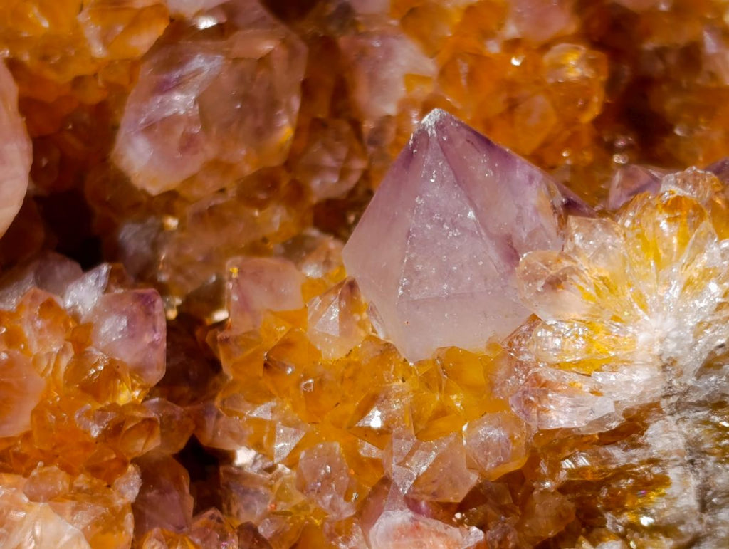 Natural Large Spirit Ametrine Clusters x 6 From Boekenhouthoek, South Africa - Toprock Gemstones and Minerals 