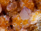 Natural Large Spirit Ametrine Clusters x 6 From Boekenhouthoek, South Africa - Toprock Gemstones and Minerals 