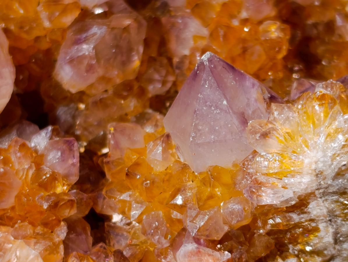 Natural Large Spirit Ametrine Clusters x 6 From Boekenhouthoek, South Africa - Toprock Gemstones and Minerals 