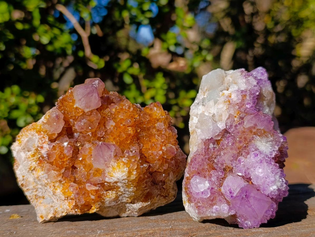 Natural Large Spirit Ametrine Clusters x 6 From Boekenhouthoek, South Africa - Toprock Gemstones and Minerals 