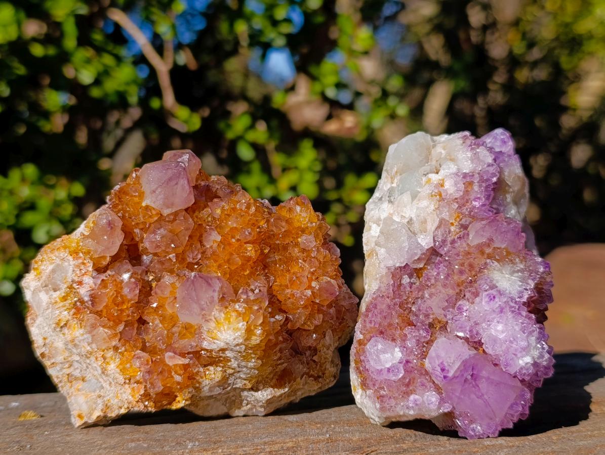 Natural Large Spirit Ametrine Clusters x 6 From Boekenhouthoek, South Africa - Toprock Gemstones and Minerals 
