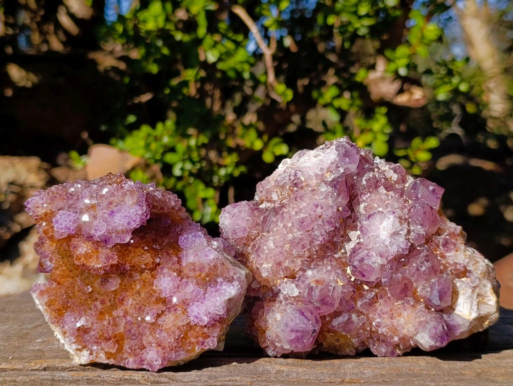 Natural Large Spirit Ametrine Clusters x 6 From Boekenhouthoek, South Africa - Toprock Gemstones and Minerals 