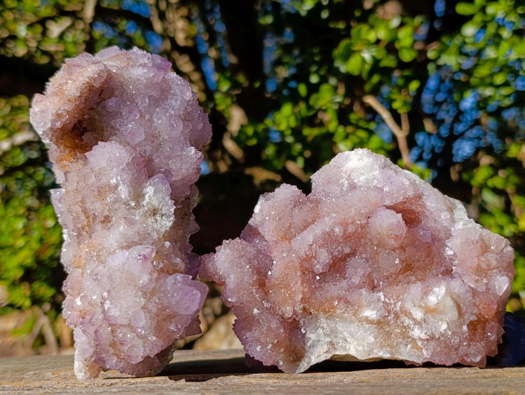 Natural Large Spirit Ametrine Clusters x 6 From Boekenhouthoek, South Africa - Toprock Gemstones and Minerals 