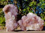 Natural Large Spirit Ametrine Clusters x 6 From Boekenhouthoek, South Africa - Toprock Gemstones and Minerals 