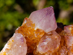 Natural Large Spirit Ametrine Clusters x 6 From Boekenhouthoek, South Africa - Toprock Gemstones and Minerals 