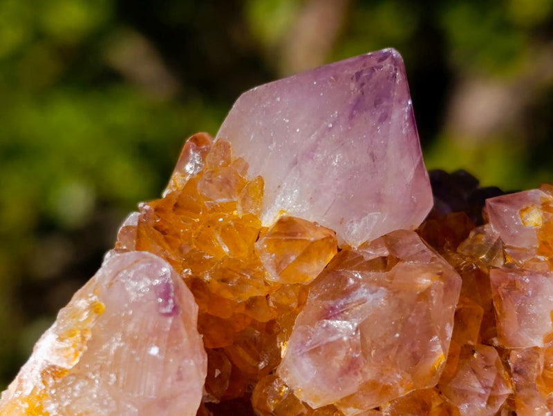 Natural Large Spirit Ametrine Clusters x 6 From Boekenhouthoek, South Africa - Toprock Gemstones and Minerals 