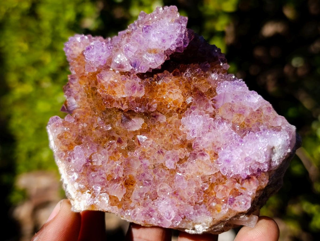 Natural Large Spirit Ametrine Clusters x 6 From Boekenhouthoek, South Africa - Toprock Gemstones and Minerals 