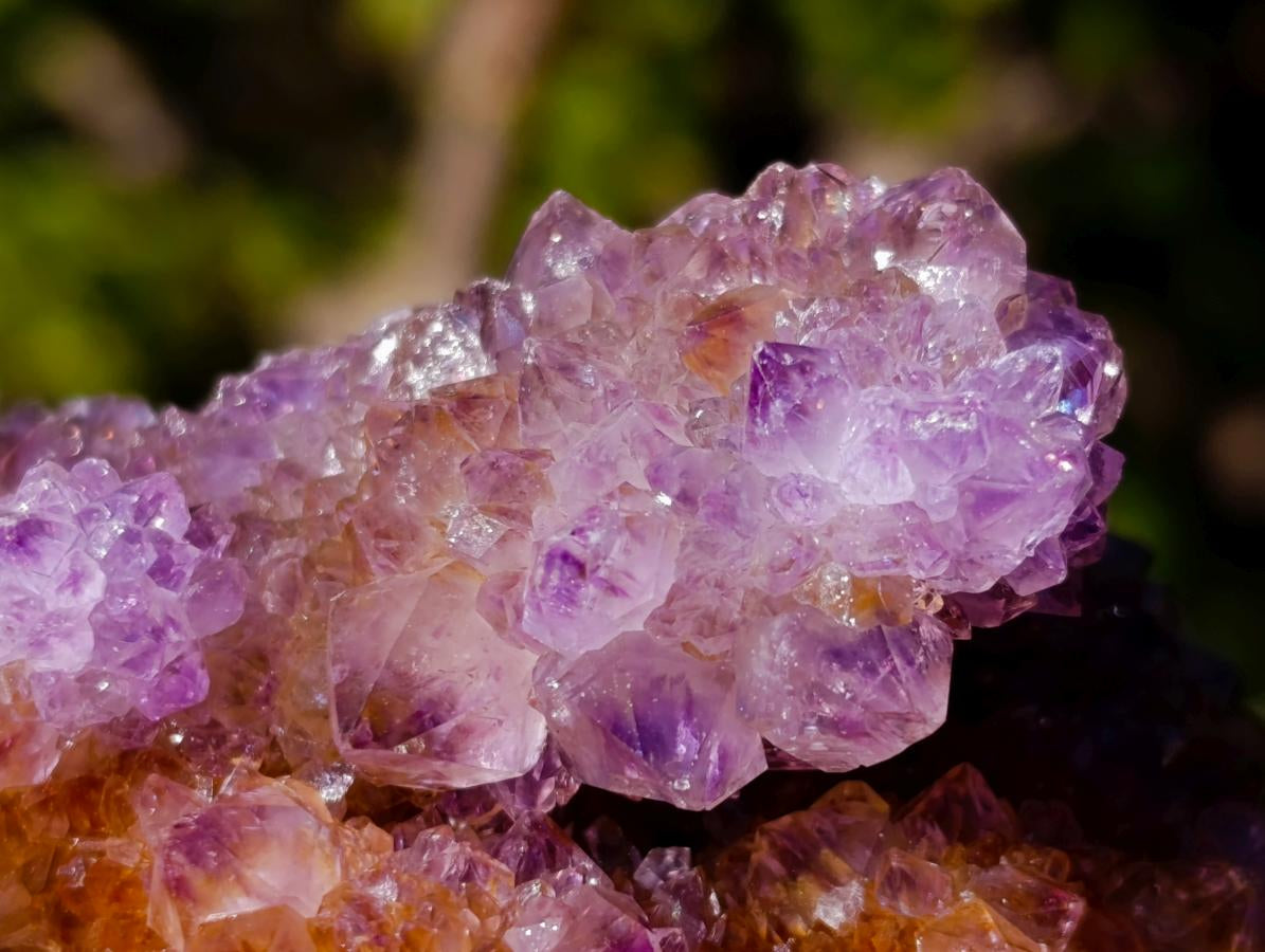 Natural Large Spirit Ametrine Clusters x 6 From Boekenhouthoek, South Africa - Toprock Gemstones and Minerals 