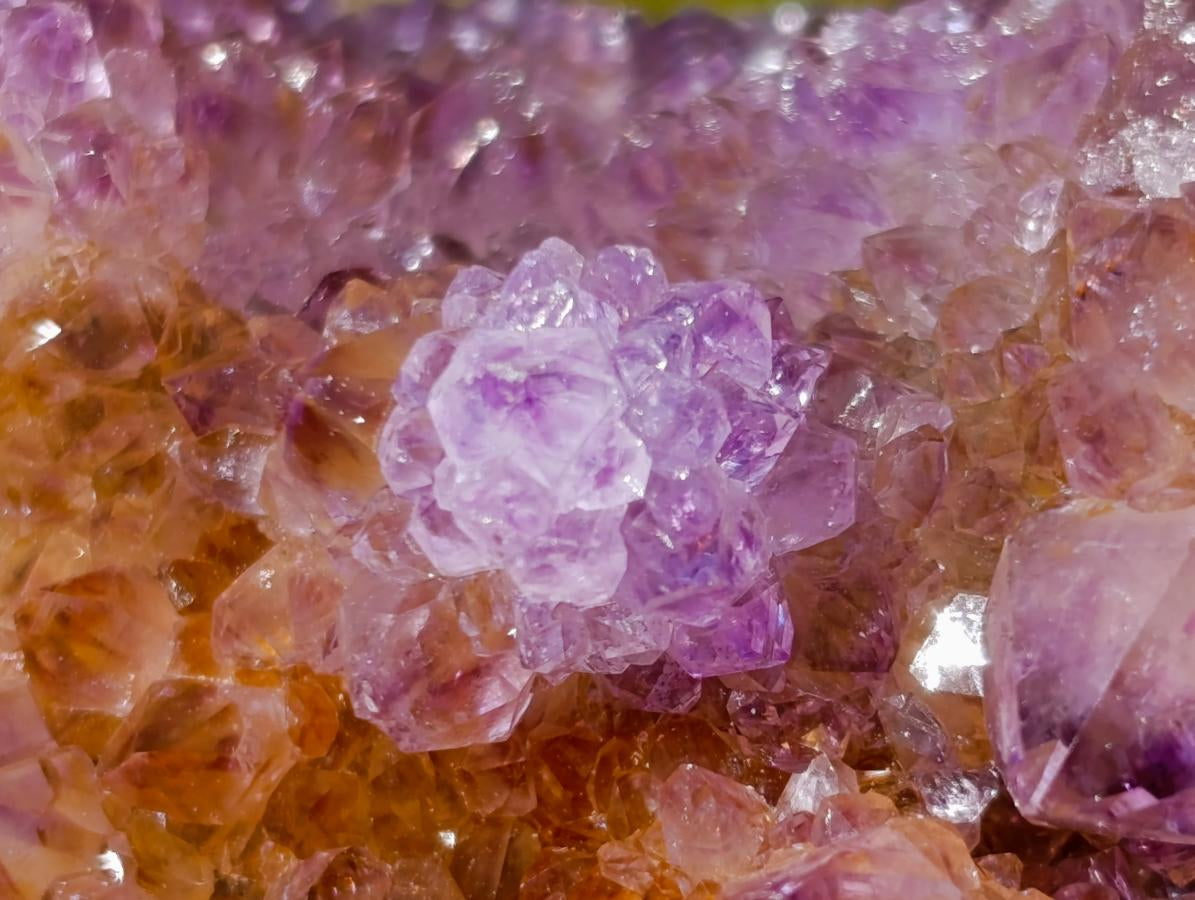 Natural Large Spirit Ametrine Clusters x 6 From Boekenhouthoek, South Africa - Toprock Gemstones and Minerals 
