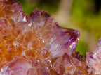 Natural Large Spirit Ametrine Clusters x 6 From Boekenhouthoek, South Africa - Toprock Gemstones and Minerals 