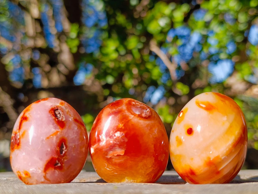 Polished and Natural Carnelian Agate Gemstone Galets x 35 From Madagascar - Toprock Gemstones and Minerals 