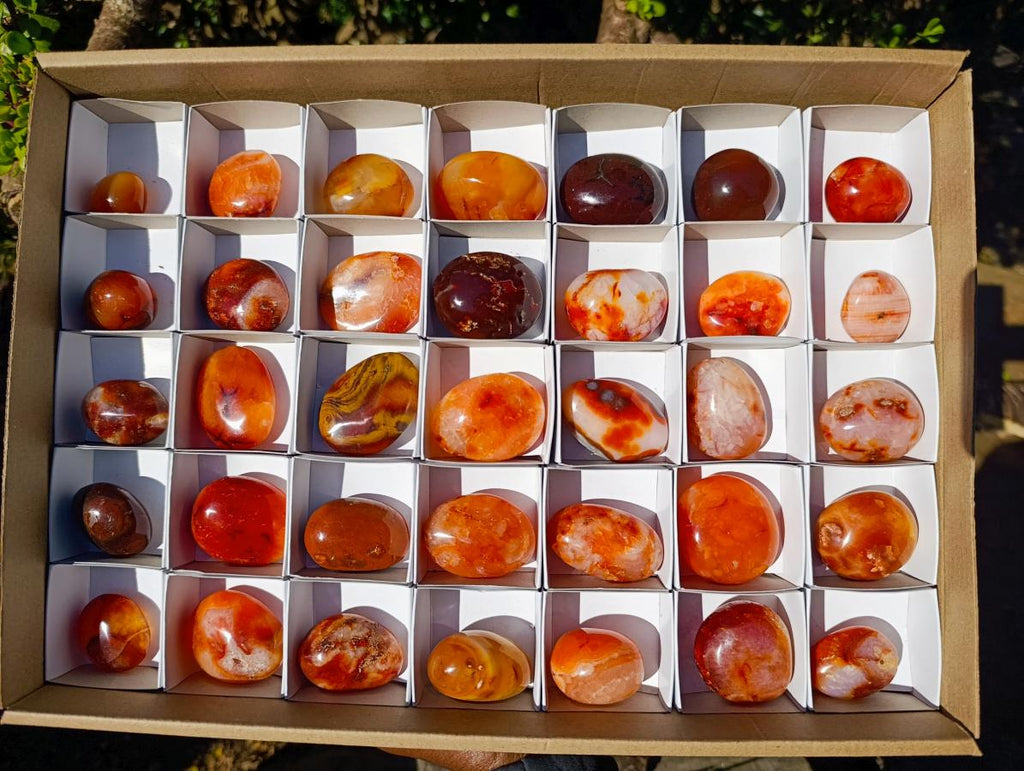 Polished and Natural Carnelian Agate Gemstone Galets x 35 From Madagascar - Toprock Gemstones and Minerals 