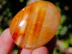 Polished and Natural Carnelian Agate Gemstone Galets x 35 From Madagascar - Toprock Gemstones and Minerals 
