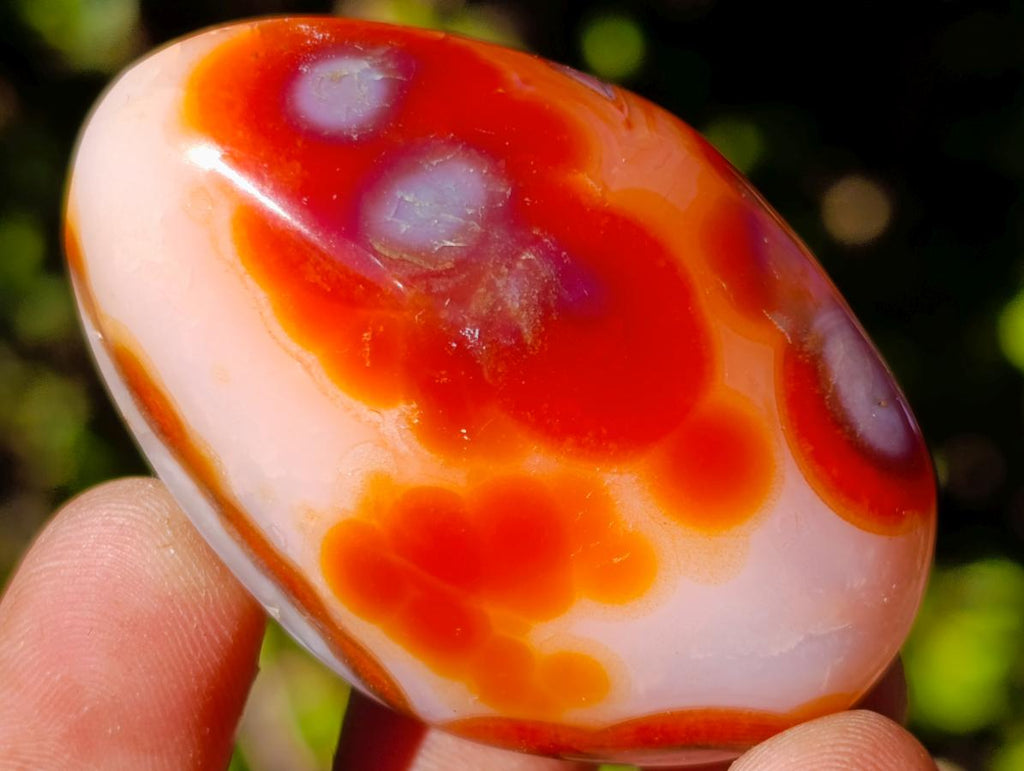 Polished and Natural Carnelian Agate Gemstone Galets x 35 From Madagascar - Toprock Gemstones and Minerals 